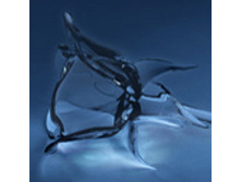 02.08.2010 1:25:40