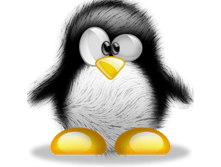 02.08.2010 1:28:38