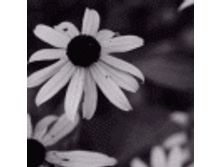 02.08.2010 1:34:44