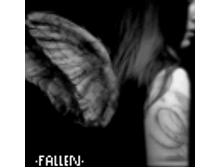 02.08.2010 1:35:34