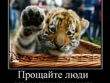 03.08.2010 20:42:52