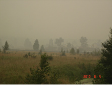 06.08.2010 17:41:40