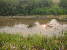 09.08.2010 8:36:18