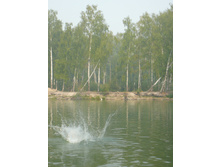 09.08.2010 17:02:41