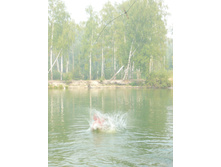 09.08.2010 17:06:03
