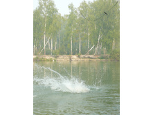 09.08.2010 17:06:37