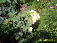 14.08.2010 12:21:07