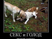 19.08.2010 14:00:53