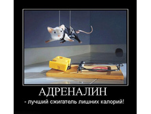 19.08.2010 14:09:30