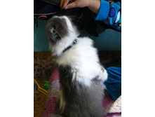 21.08.2010 11:11:32