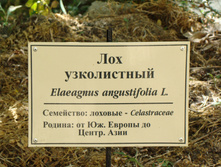 23.08.2010 17:31:06