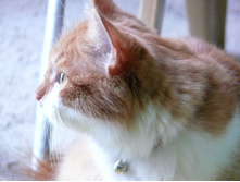 24.08.2010 21:15:04