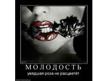 25.08.2010 14:37:01