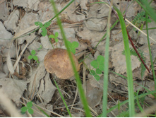 25.08.2010 19:51:33