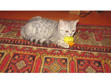 27.08.2010 12:59:06