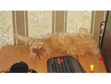 27.08.2010 12:59:58