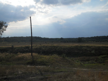 30.08.2010 0:37:37