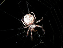24.07.2006 12:01:51