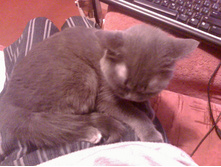 01.09.2010 1:15:32