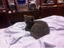01.09.2010 1:18:51