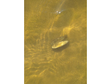 01.09.2010 15:52:42