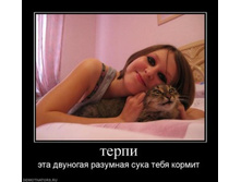 06.09.2010 12:02:44