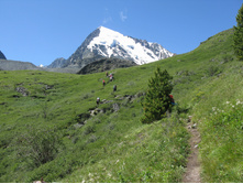 08.09.2010 14:38:33