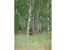 09.09.2010 23:49:36
