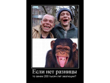 13.09.2010 10:17:36