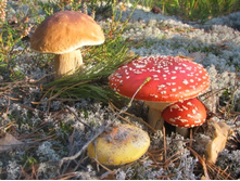 18.09.2010 11:45:54