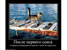 22.09.2010 9:08:46