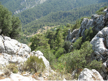26.09.2010 13:56:36