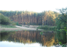 28.09.2010 8:59:56