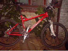 M�X�LIZED