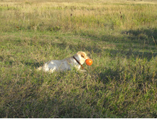 06.10.2010 9:59:33