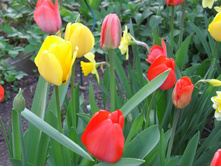 �������� ��������