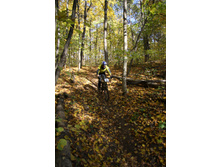 11.10.2010 13:18:39