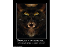13.10.2010 19:41:53