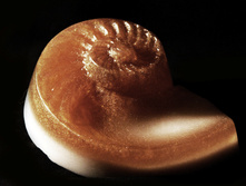 13.10.2010 23:02:59
