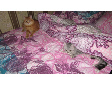 15.10.2010 10:36:02