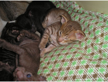 22.10.2010 20:20:05