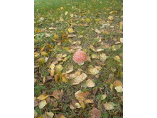 24.10.2010 3:58:29