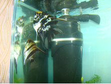 ������ ������ ��������    24.10.2010 23:07:10
