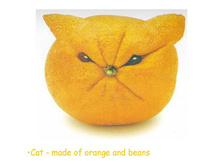 29.10.2010 12:51:55