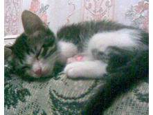 03.11.2010 17:04:17
