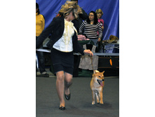 08.11.2010 15:36:50