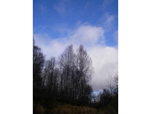 09.11.2010 17:15:03