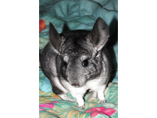 09.11.2010 22:01:13