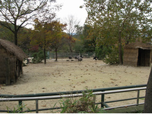 15.11.2010 18:39:34