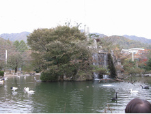 15.11.2010 18:45:39